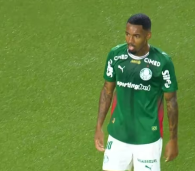 STJD reduz punição de Barboza e mantém suspensão de Allan no Palmeiras