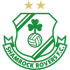Shamrock