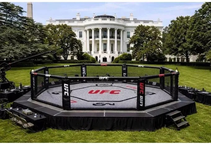 UFC Expected to Lose $30 Million In White House Event