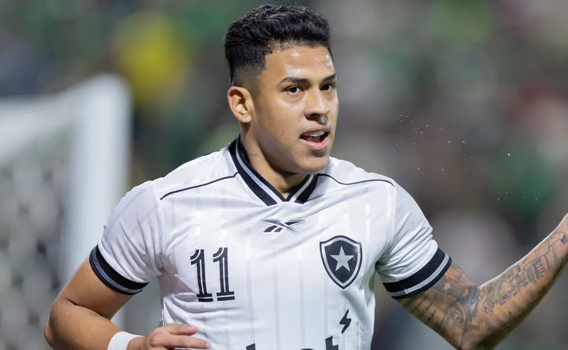 Botafogo x Chapecoense: reencontro pela Copa do Brasil acontece dias após goleada na Arena Condá