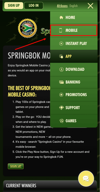 Springbok Casino App Interface