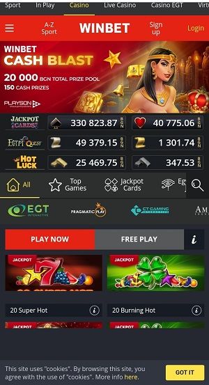 Schermafbeelding van de Winbet mobiele app interface op een smartphone